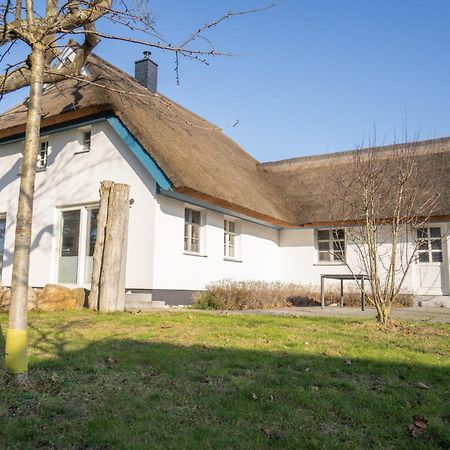 Vila Haus Tadder Born Exteriér fotografie
